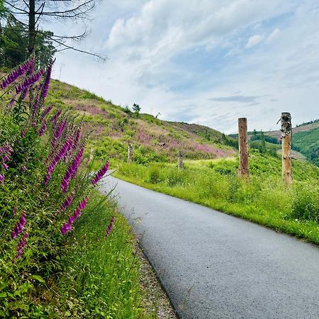 Traumwohnung Mit Sauna & Kamin, Direkt Am Wald Plettenberg Esterno foto
